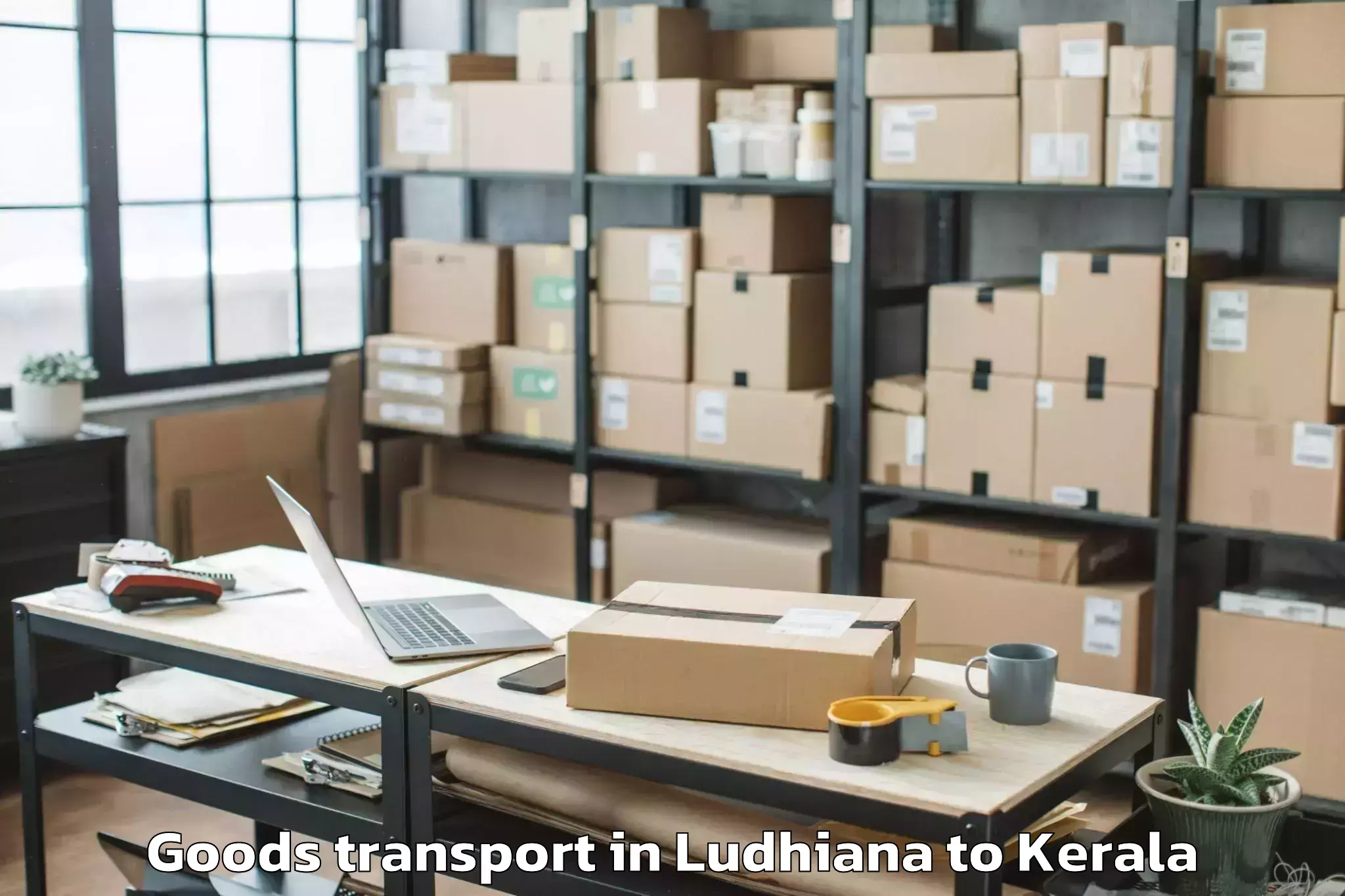 Reliable Ludhiana to Punalur Goods Transport